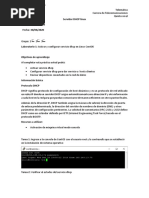 Practica DHCP Linux Saul