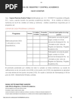 Información Académica PDF