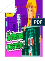 Sistema Excretor