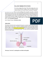 SPEECH ORGANS AND THEIR FUNCTION Class Notes