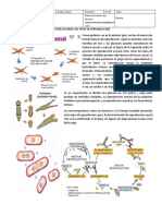 Biología 8 Reproducción