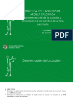 PRACTICA N°8 Determinación de La Succion y Eflorescencia en Ladrillos de Arcilla Calcinada PDF