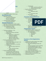 Integumentary System Notes