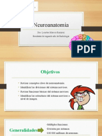 Neuroanatomía