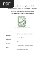 Resultados de Panatela de Platano