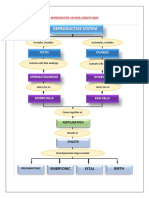 Vico, Niecolle P. BSMT 1C REPRODUCTIVE SYSTEM CONCEPT MAP 2 PDF