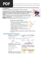 Triangulos Lineas Notables.