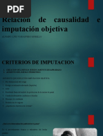 Relación de Causalidad e Imputación Objetiva