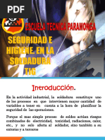 Seguridad e Higiene Industrial en Tig...................................