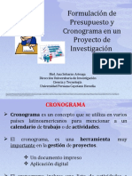 Presentacion OPS Cronograma y Presupuesto