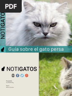 Gato Persa