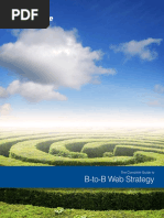 B-to-B Web Strategy: The Complete Guide To