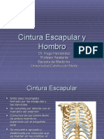 Cintura Escapular y Hombro1