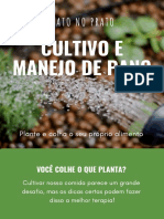 Plantio e Manejo de Pancs