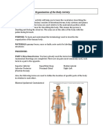 Organization of The Body Activity: Anatomy and Physiology Berry