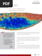 Case-Dynamis en Es PDF