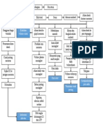 Pathway Stemi Inferior