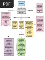 Mapa Embarazo Prolongado