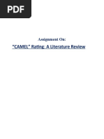 "CAMEL" Rating: A Literature Review: Assignment On