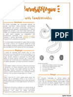 1) Ascaris Lumbricoides PDF