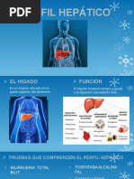 Exposicion Pib 3