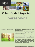 Colección de Fotografías Seres Vivos