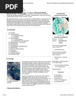 Cyanobacteria: Cyanobacteria - Wikipedia, The Free Encyclopedia