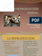 Reproduccion Sexual en Animales