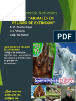 Animales en Peligro de Extincion