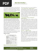 Beef Herd Fertility 1: Sponsor Content