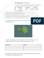 Science End of Unit Questions Grade 8