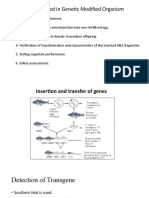 6 Stages Involved in Genetic Modified Organism