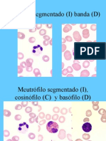 Atlas A Color de Hematologia