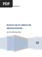 Actores de La Cadena de Abastecimiento