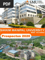 V1 Prospectus 2020