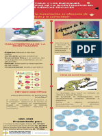 Método y Enfoques Métodológicos PDF