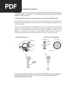 Resumen Mics Presion y Gradiente de Presion