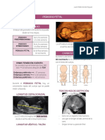 Periodo Fetal PDF