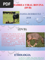 Diarrea Viral Bovina (DVB)