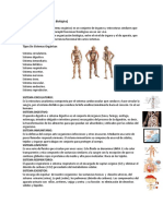 Sistema Orgánico Folleto