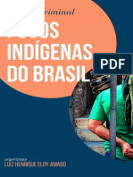 Justiça Criminal e Povos Indígenas No Brasil PDF