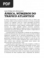 África, Números Do Tráfico Atlântico