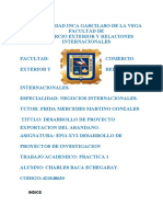 Tesis de Proyecto Arandanos Listo