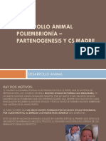 Desarrollo ANIMAL Clase Del 4 de Septiembre Poliembrionia Partenogenesis y Cs Madre