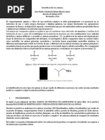 Identificacion de Aminas