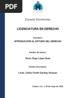 Actividad 2 - Introducción Al Estudio Del Derecho - Víctor Sosa 30-05-2020