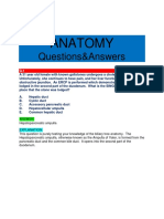 Anatomy PDF