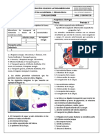 Examen Final Biologia 7° 2P 2019. 1