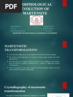 Morphological Evolution of Martensite