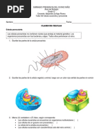 Eucariota y Procariota Taller 5